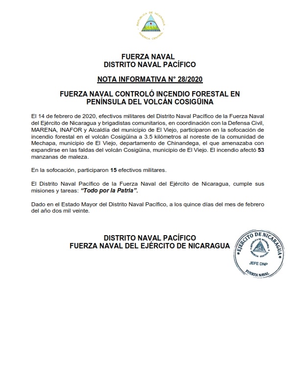 fuerza naval1